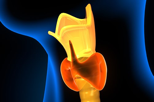 Localização da faringe - Faringite