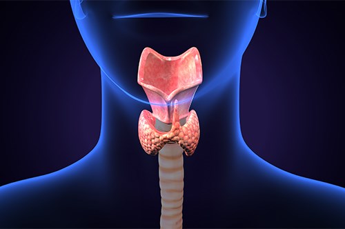 Causas da Garganta Irritada
